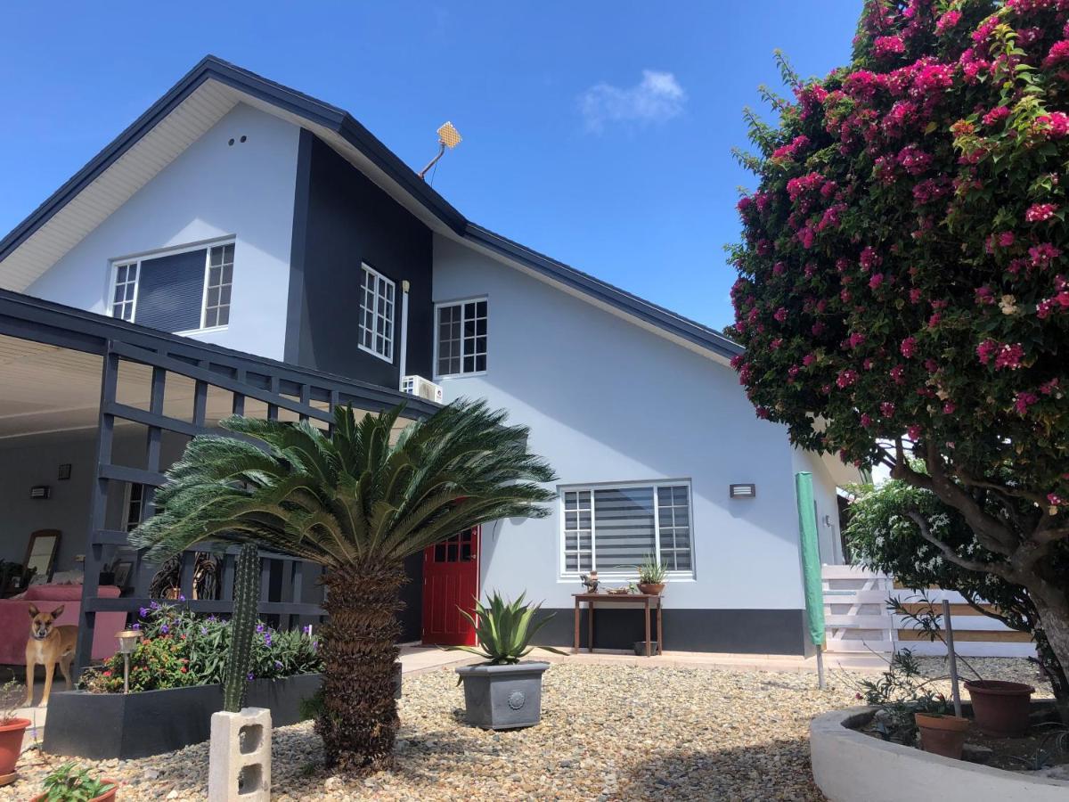 Palmhouse Apartments Aruba 1- 4 Persons Savaneta Exteriör bild