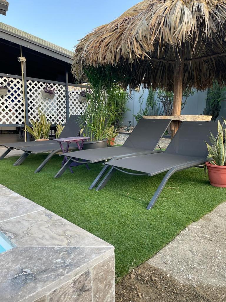 Palmhouse Apartments Aruba 1- 4 Persons Savaneta Exteriör bild