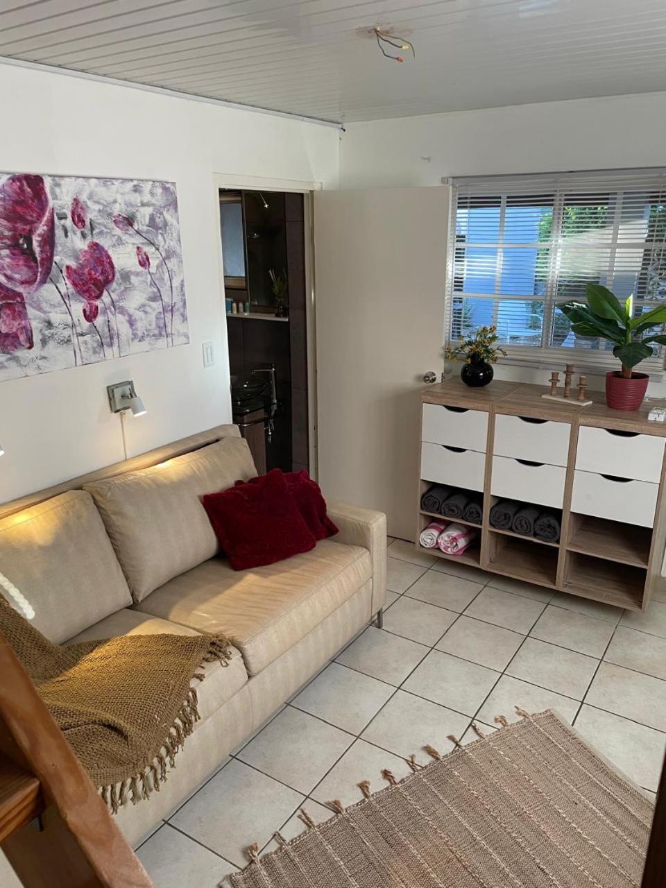 Palmhouse Apartments Aruba 1- 4 Persons Savaneta Exteriör bild