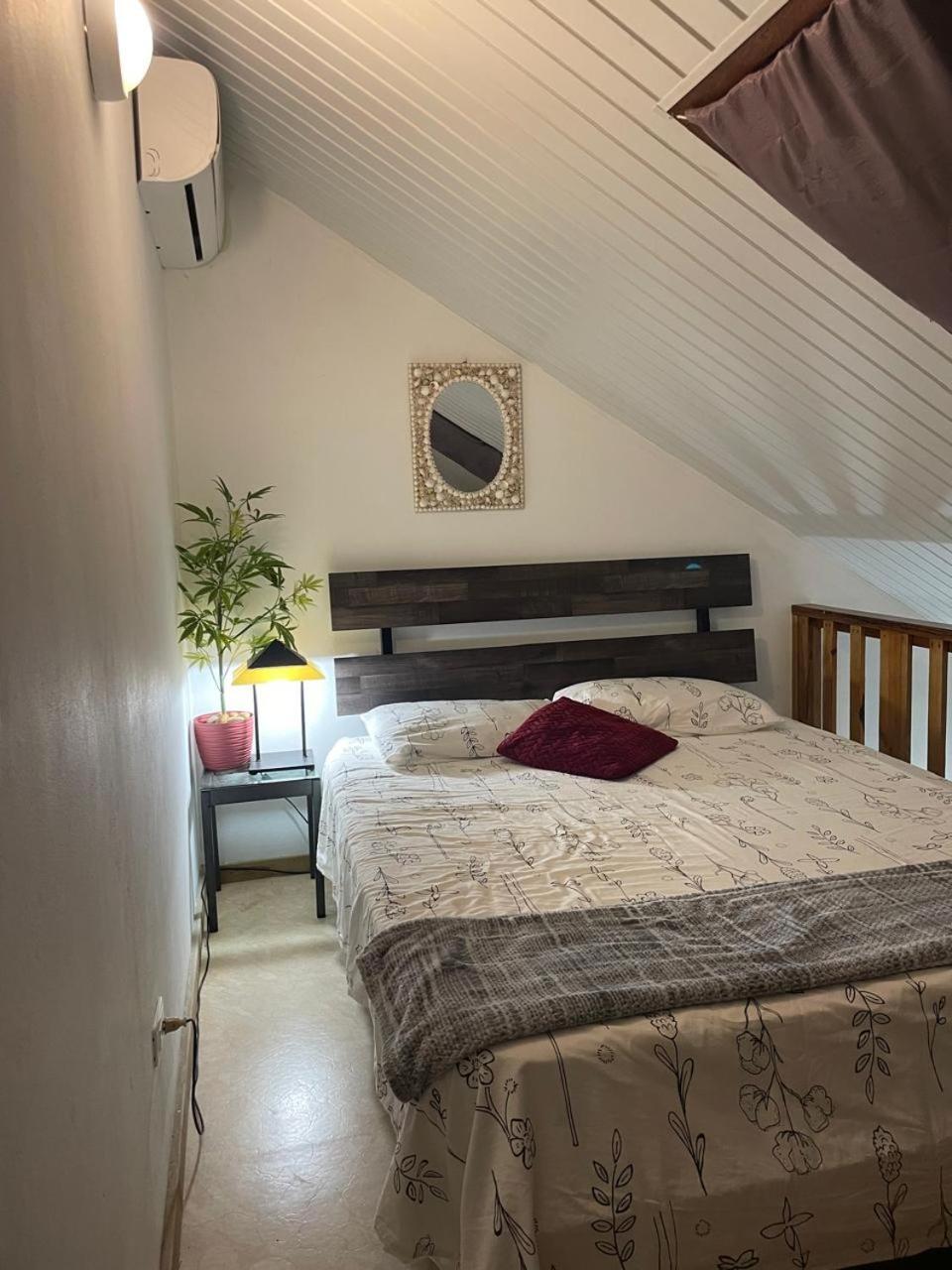 Palmhouse Apartments Aruba 1- 4 Persons Savaneta Exteriör bild